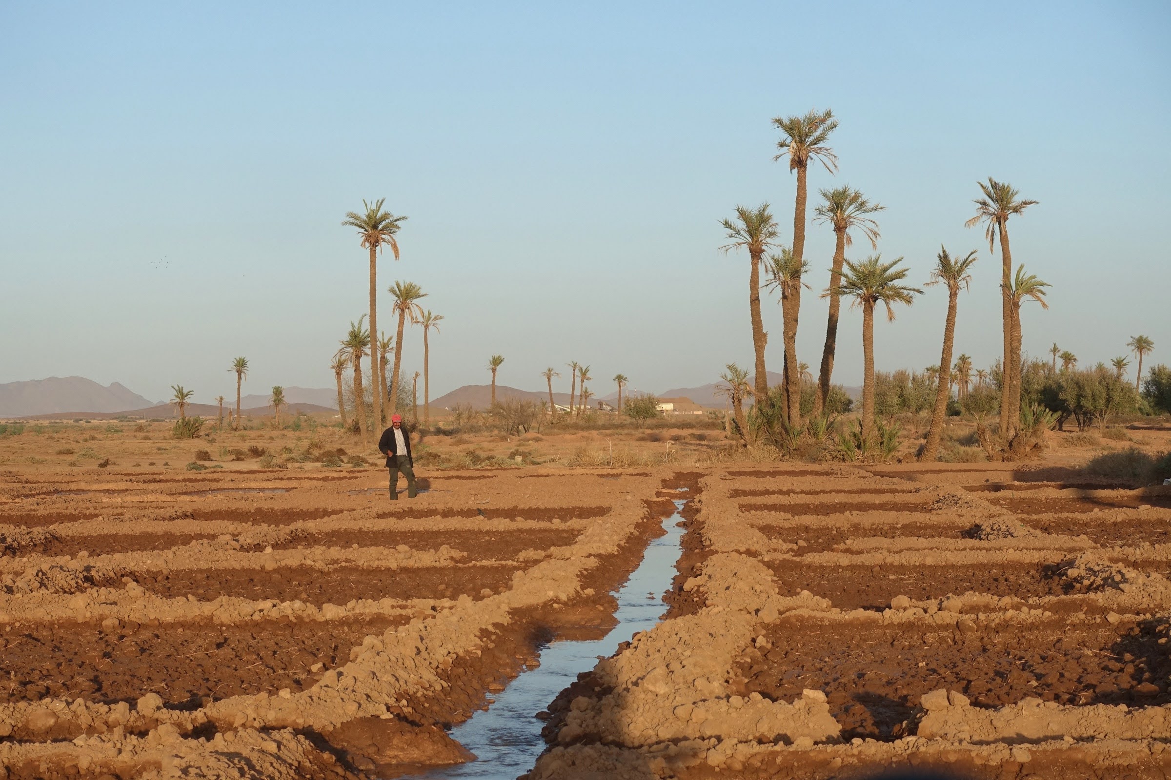 image atelier sud afrique